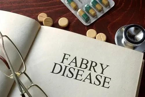 Fabry - животрепещущая проблема, время на исходе Fabry - животрепещущая проблема, время на исходе