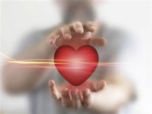 Нейрокардиология. Ученые доказывают, что сердце чувствует и понимает