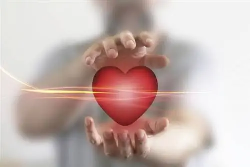 Нейрокардиология. Ученые доказывают, что сердце чувствует и понимает