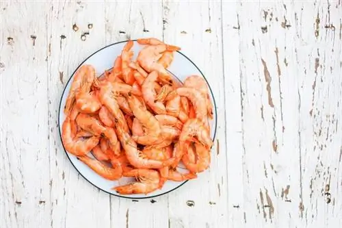 Креветки - пищевые свойства, калорийность. Как есть креветки?