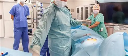 Современные регистраторы помогут эффективно выявлять аритмию