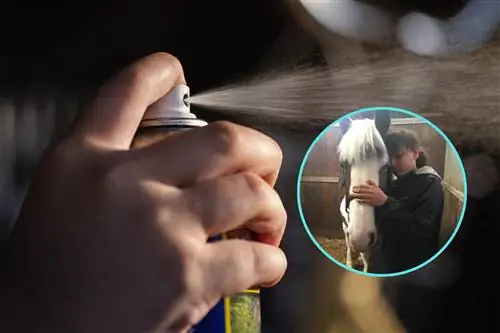 Подросток распылил дезодорант и умер. Ее родители апеллируют: «Это может убить сразу»