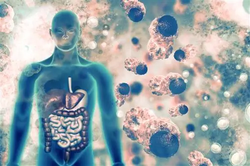 Канцерогены - канцерогены