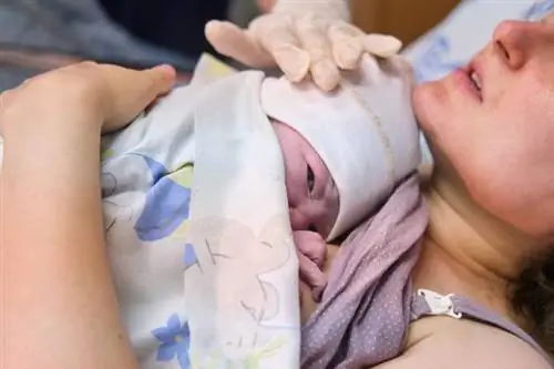 Она не знала, что беременна, пока не родила. У нее не было никаких симптомов: я был в шоке