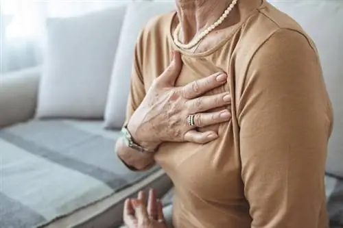 Омолаживает сердце на 10 лет и защищает от болезней. Ген против старения - лекарство будущего?