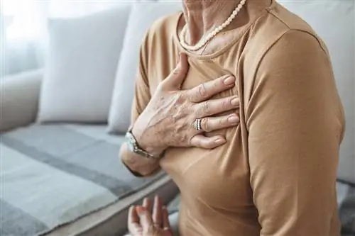 Омолаживает сердце на 10 лет и защищает от болезней. Ген против старения - «лекарство будущего»?