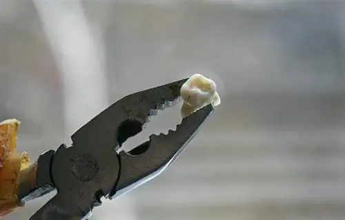 Плоскогубцы со сломанным зубом