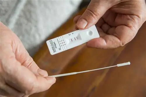 Комбинированные тесты обошлись нам в 230 млн злотых и «бесполезны»? Министерство опровергает обвинения