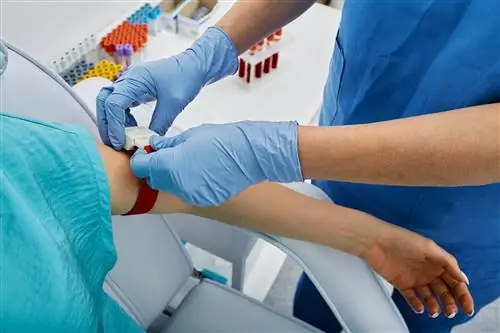 Достаточно образца крови, чтобы убедиться, что пациент выживет. Речь идет о прогнозе после химиотерапии