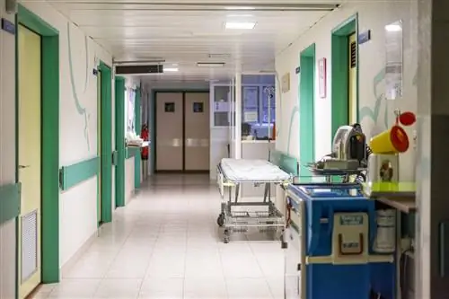 У нее была сломана глазница и выбиты зубы. В таком состоянии из больницы выписали 91-летнюю женщину домой