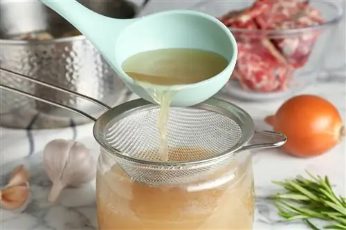 Луковая вода от гриппа и простуды. TikTok сошел с ума от этой смеси