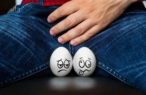 Травма яичек, то есть удар, который сбивает вас с ног