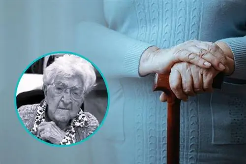 Умерла самая старая американка. Она дожила до 115 лет, и секрет ее долголетия может вас удивить
