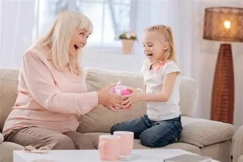 Подарок внукам - что купить маленькому ребенку?