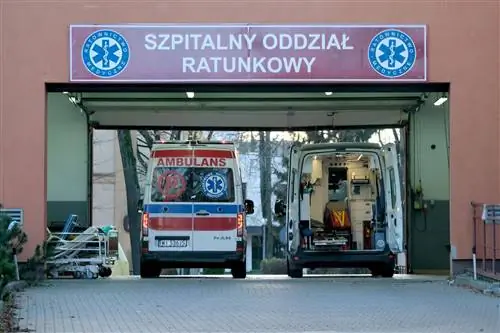 Скорая помощь находится в осаде, пациенты ночуют в приемной. "Время ожидания минимум 12 часов"