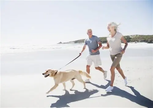 Витамин D продлевает жизнь