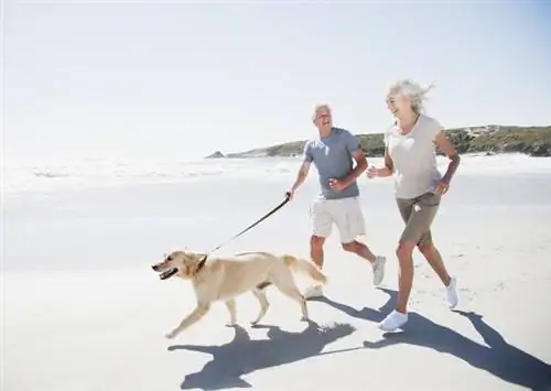 Витамин Д продлевает жизнь