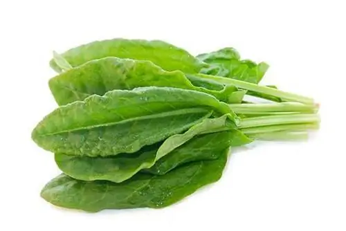 Оксалат - что это такое?