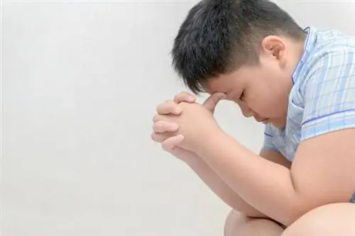 Ожирение вредит детской психике