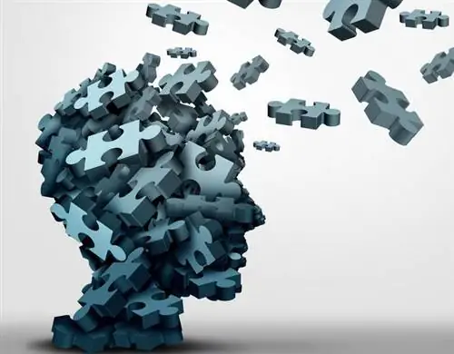 Северная эпилепсия: причины, симптомы, лечение