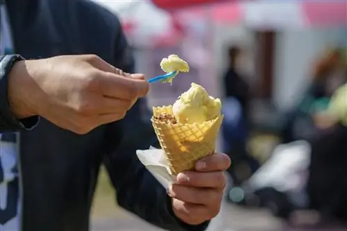 Популярное мороженое вызывает эпидемию опасных отравлений. Среди пострадавших младенец, беременная женщина и 92-летний мужчина
