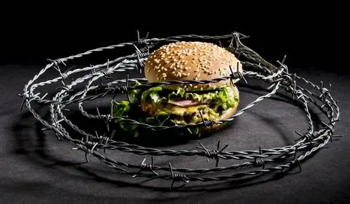 Фаст-фуд становится все более вредным