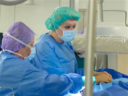 20 000 пациентов в Лаборатории сердечно-сосудистых вмешательств ИП ЦЗД