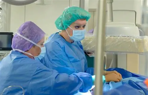 20 000 пациентов в Лаборатории сердечно-сосудистых вмешательств ИП ЦЗД