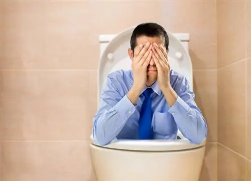 Домашние средства от привычных запоров у детей и взрослых