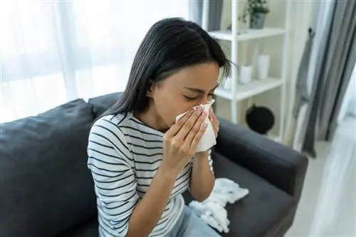 Полипы – все ли они являются раком и в каких органах они встречаются чаще всего?