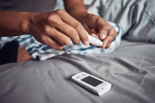 Сахарный диабет 1 типа - причины, симптомы и лечение инсулинозависимого диабета