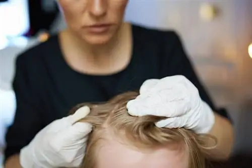 Крупный план женщины, проверяющей своего ребенка на наличие вшей в волосах