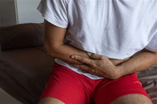 Рак печени: причины, симптомы, лечение