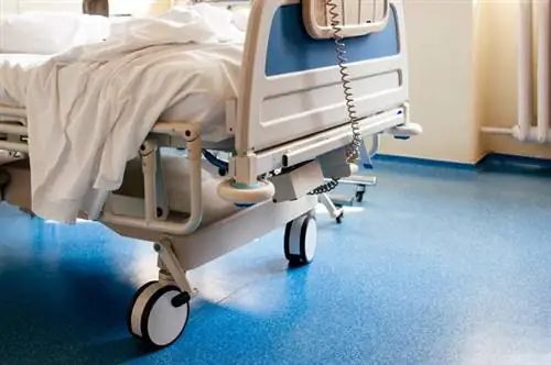 Трансплантация этому 49-летнему мужчине закончилась смертью. Мужчина получил почку с раковыми клетками от донора Трансплантация этому 49-летнему мужчине закончилась смертью. Мужчина получил почку с раковыми клетками от донора