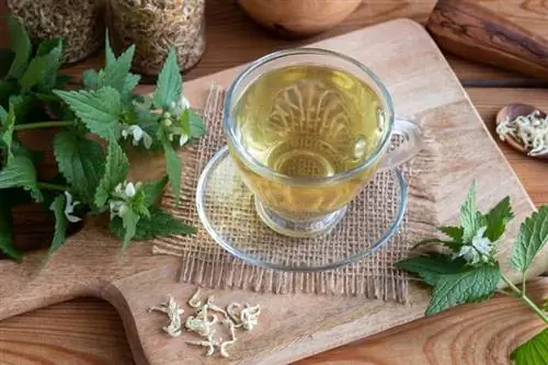 Яркий белый: полезные свойства и применение