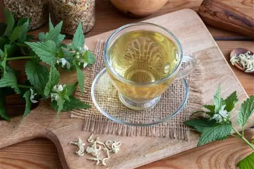 Ярко-белый: полезные свойства и применение