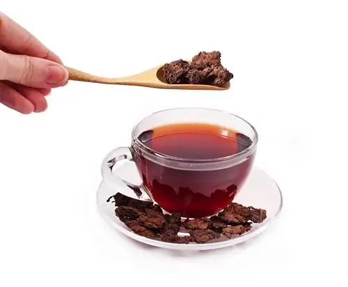 Целебные свойства чая