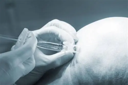 Пункция коленного сустава: показания и курс