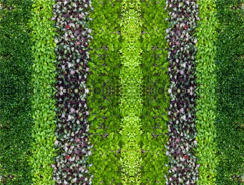 Зеленая зона лечения и отдыха в больнице в Лодзи