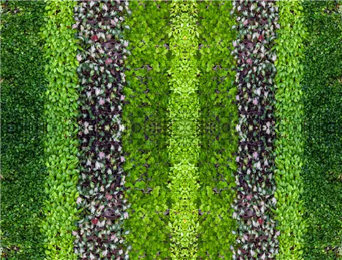 Зеленая зона лечения и отдыха в больнице в Лодзи