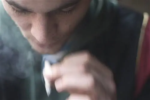 Что вреднее для легких - марихуана или табак? Шокирующие результаты исследований