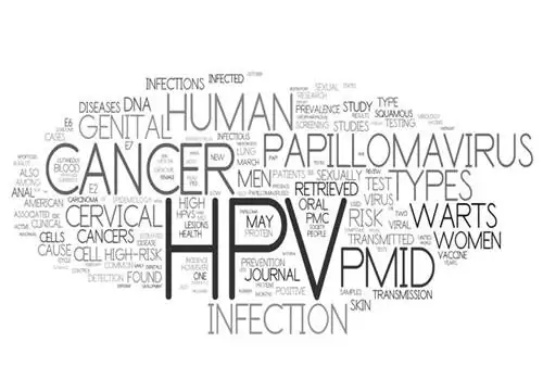 Вирус ВПЧ: строение, болезни, пути заражения