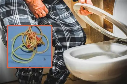 Он жаловался на боль при мочеиспускании, вот что нашли у него в мочевом пузыре. «Один из самых крайних случаев»