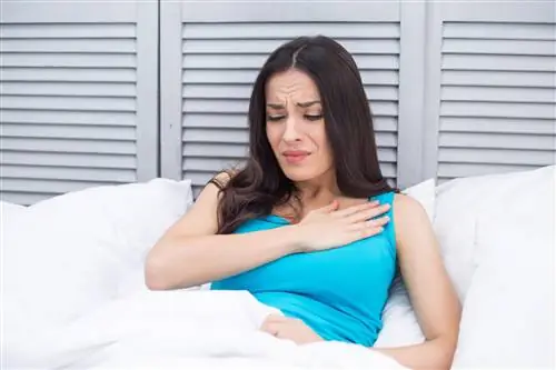 Стенокардия Принцметала: причины, симптомы, лечение вазоспастической (различной) стенокардии