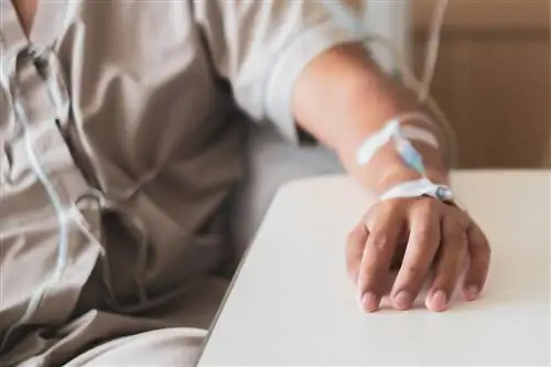 Новый способ борьбы с раком. Вакцина от COVID-19 оказалась полезной