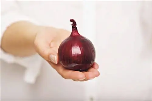 Луковичная теория счастья, или От чего зависит наше счастье?