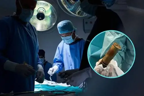 Срочная эвакуация госпиталя. 88-летний мужчина попал в палату с пулей в прямую кишку