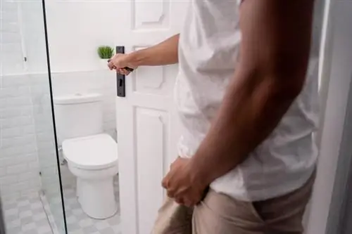 Уролог предупреждает: дурно пахнущая моча может быть признаком болезни. Список включает диабет