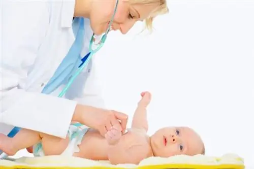 ПОРОКИ СЕРДЦА - какие симптомы указывают на порок сердца?