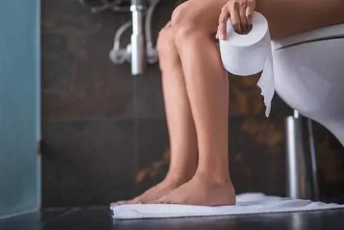 Вы бегаете в туалет после каждого приема пищи? Вот возможная причина